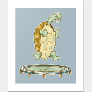 Tortoise on the trampoline Posters and Art